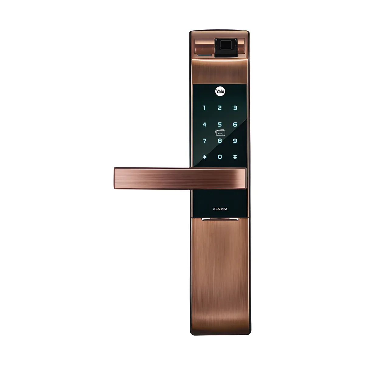YALE YDM7116A 電子鎖正面，古銅色拉絲金屬機身，上方指紋感應區、觸控數字鍵盤與卡片感應區，水平把手