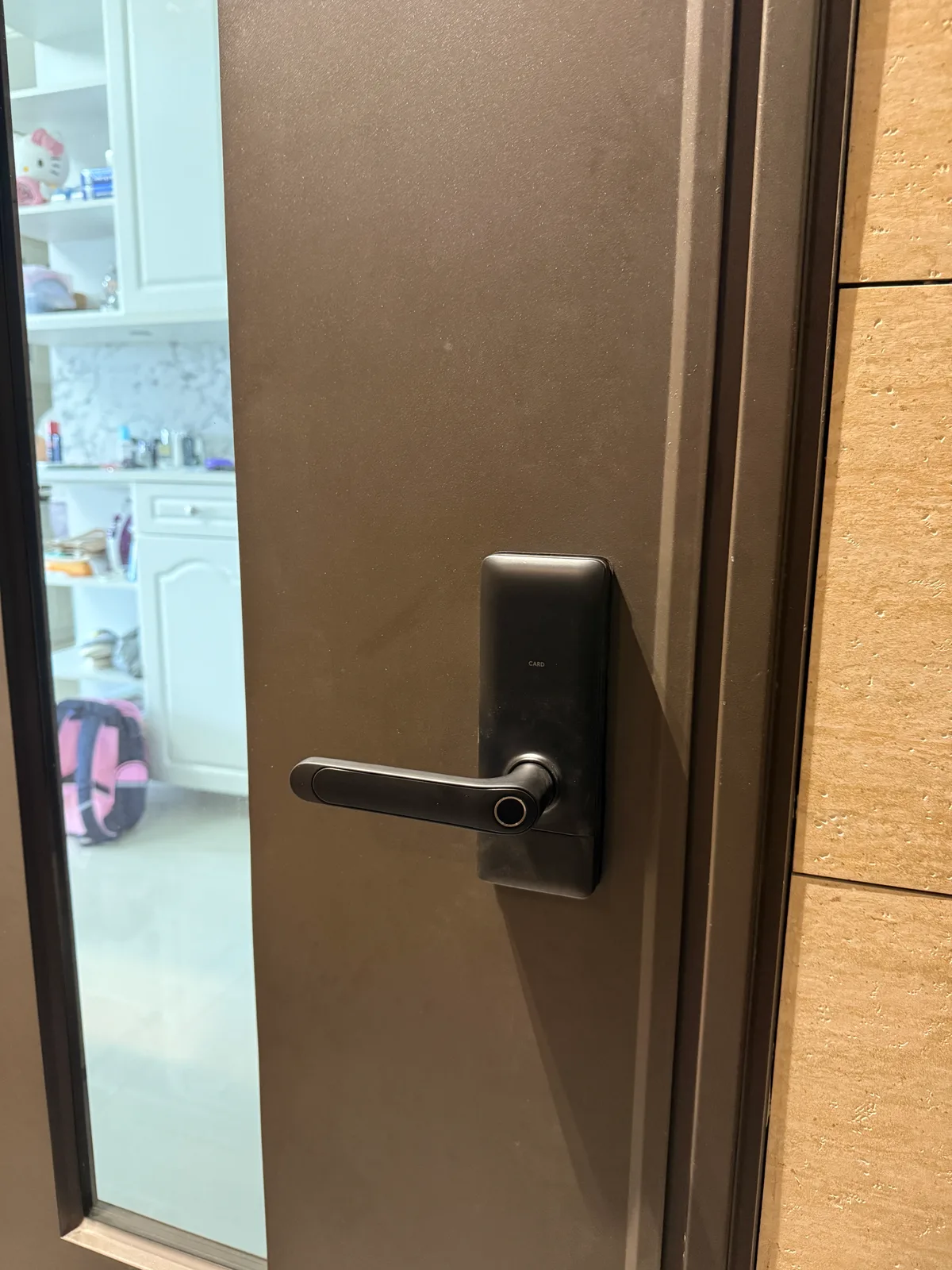 TSL R1輔助式小鎖